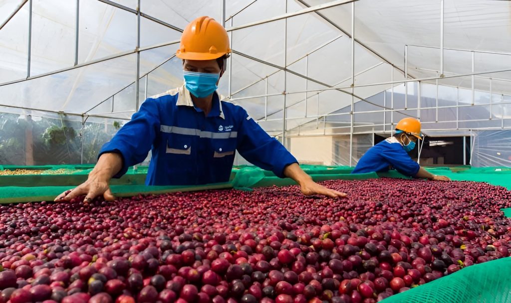 Key Challenges for Vietnamese Coffee Exporters