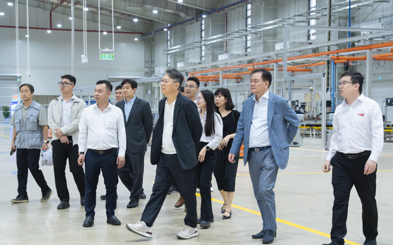 Foreign companies discussing Vietnam market entry strategy with local partners